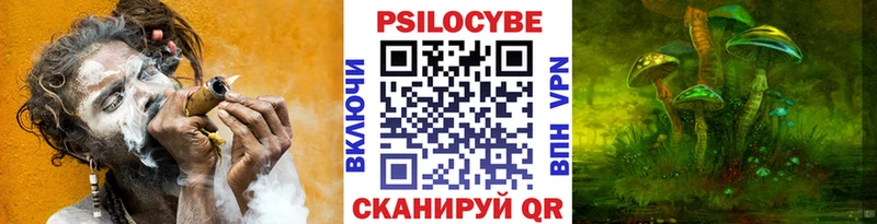 Купить закладки  Красноперекопск  Галлюциногенные грибы MAGIC MUSHROOMS 